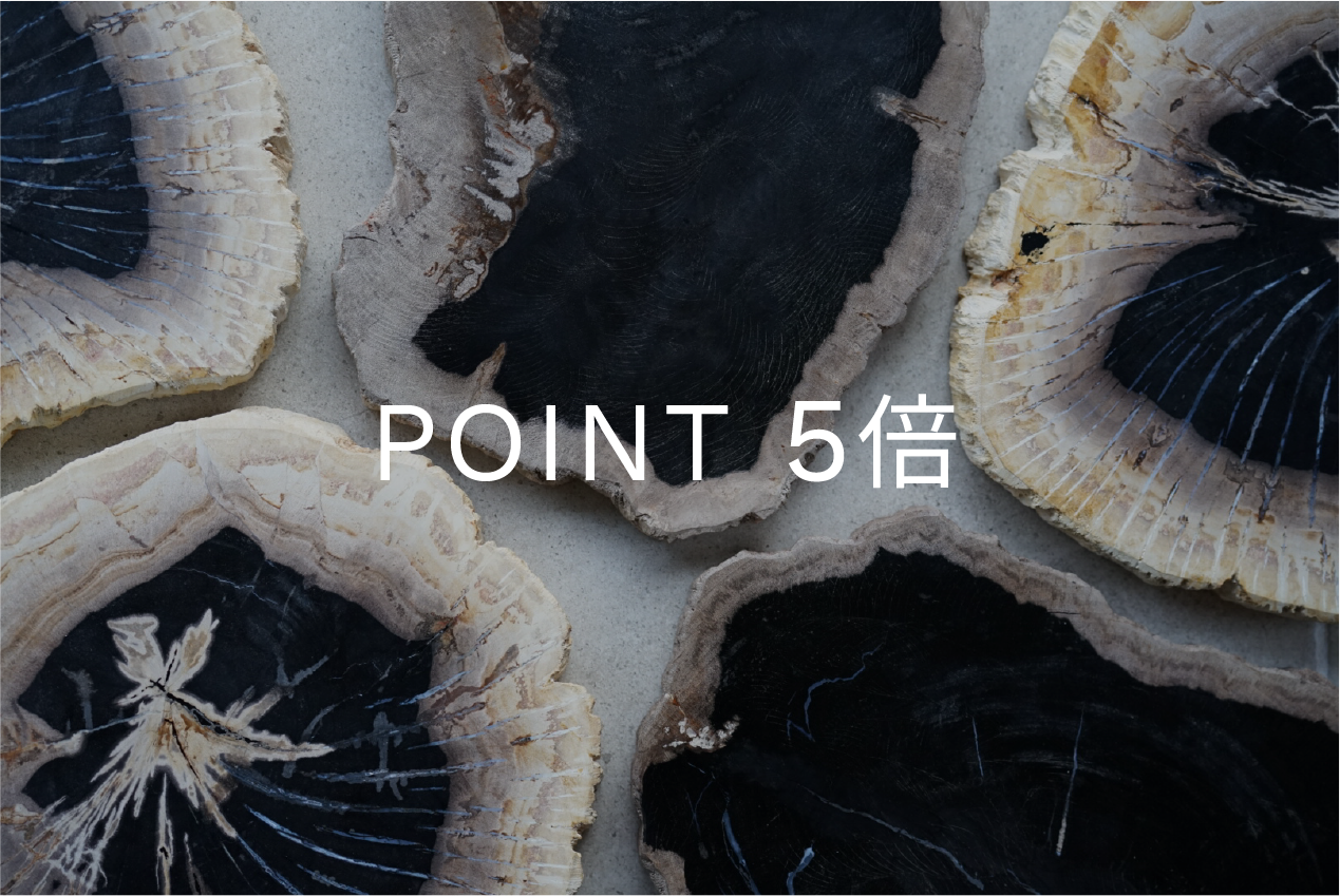 ONLINE SHOP ポイント5倍キャンペーン -終了いたしました-