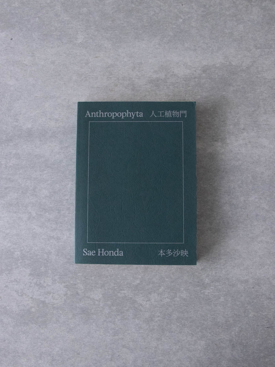 Anthropophyta / 人工植物門