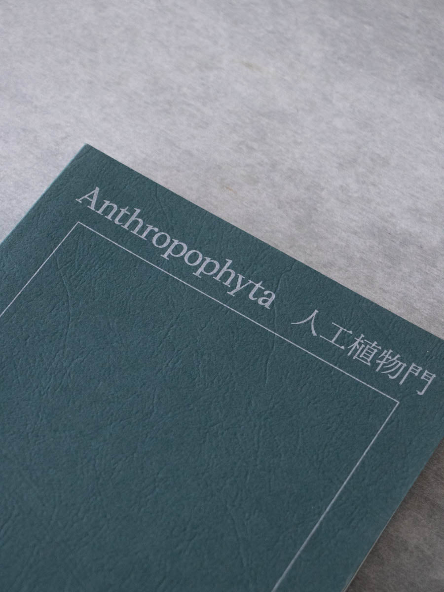Anthropophyta / 人工植物門