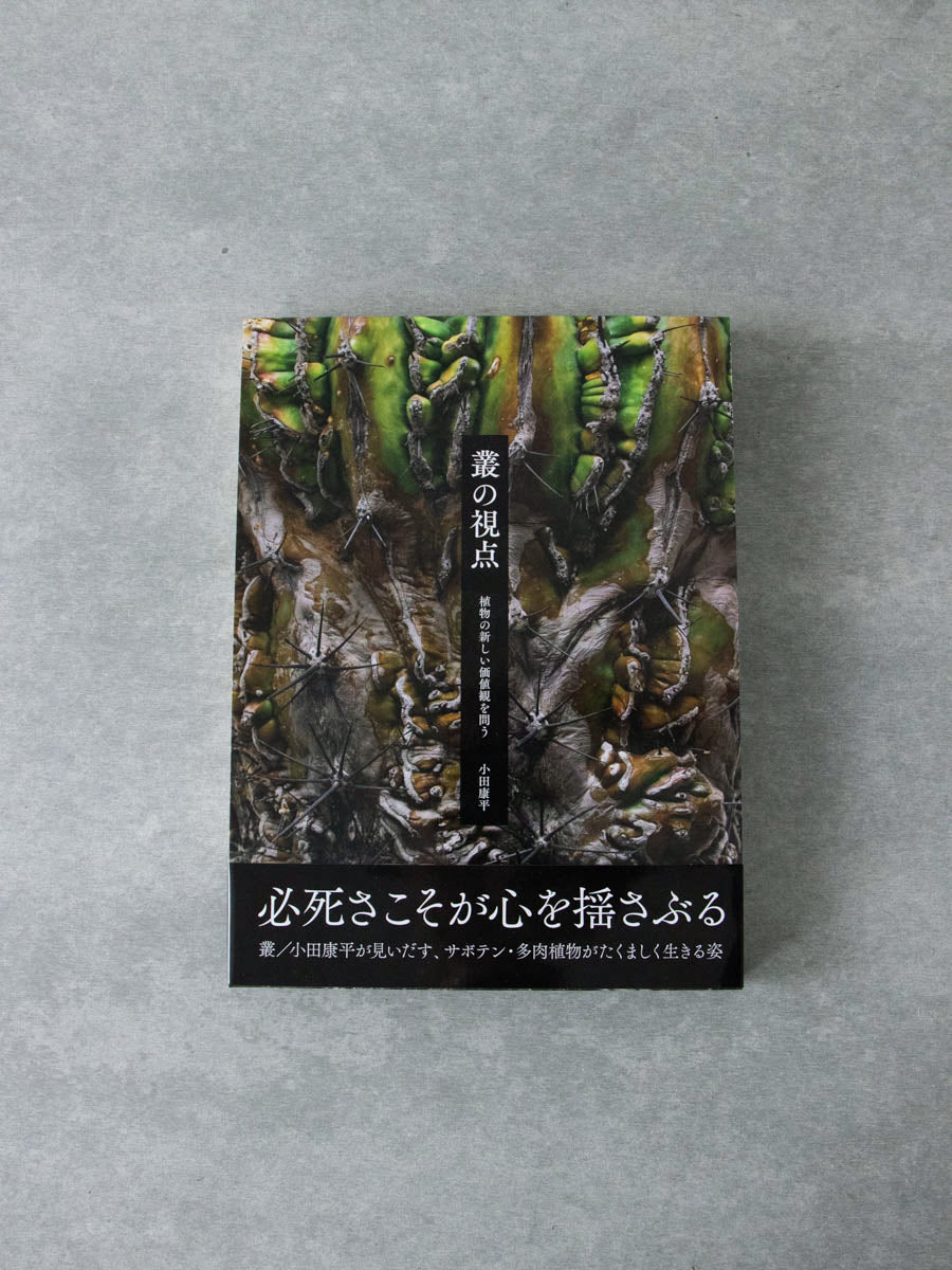 叢の視点 植物の新しい価値観を問う