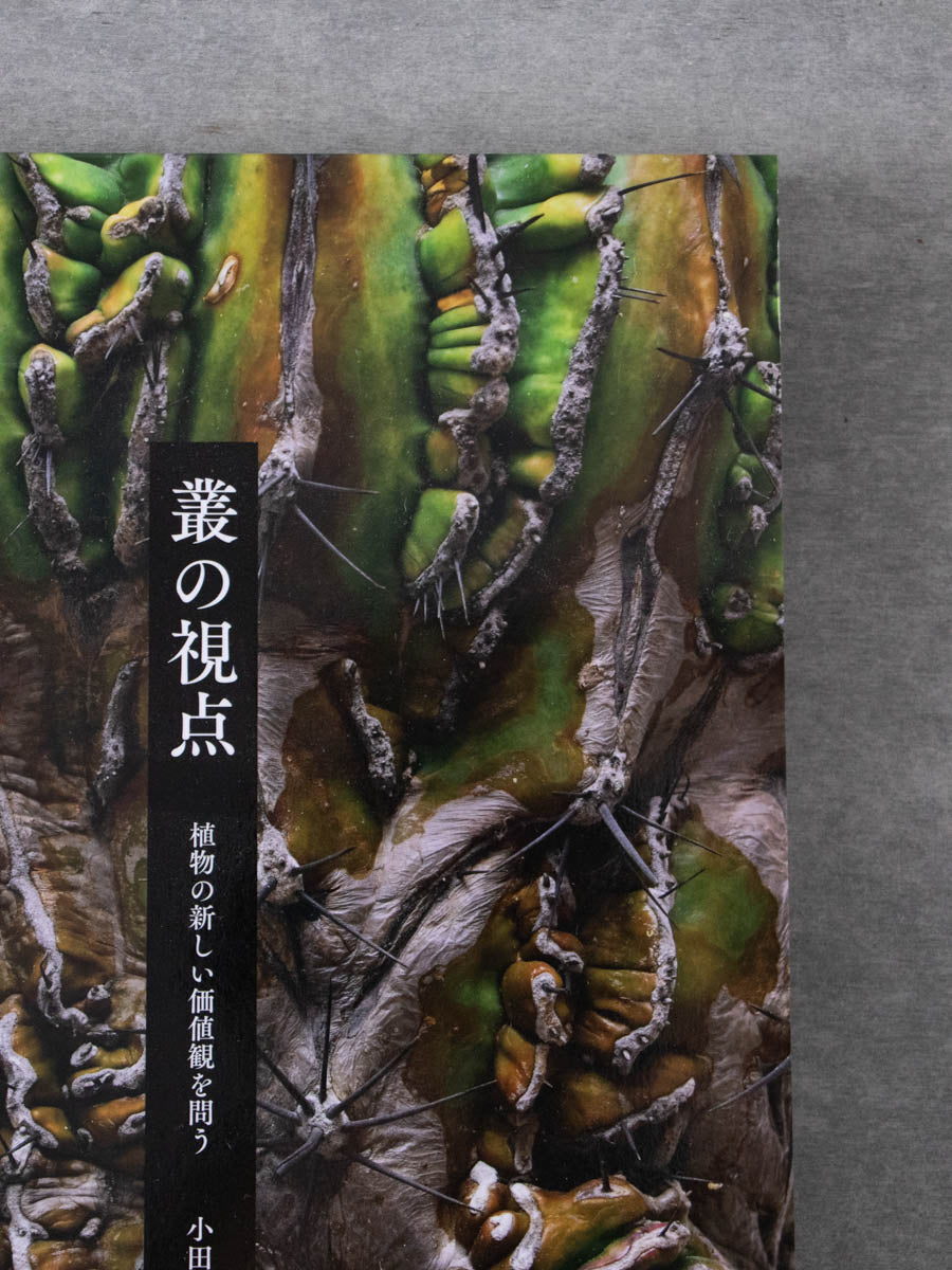 叢の視点 植物の新しい価値観を問う