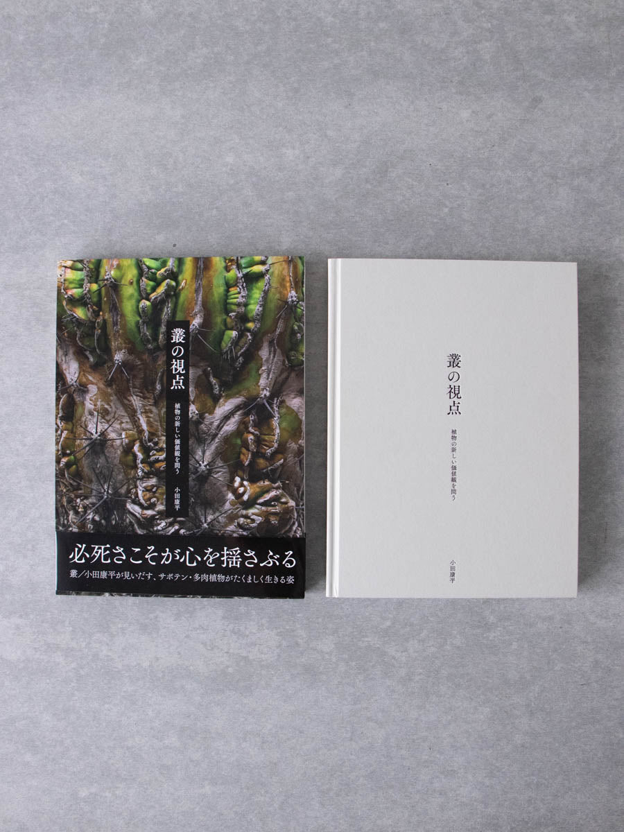 叢の視点 植物の新しい価値観を問う