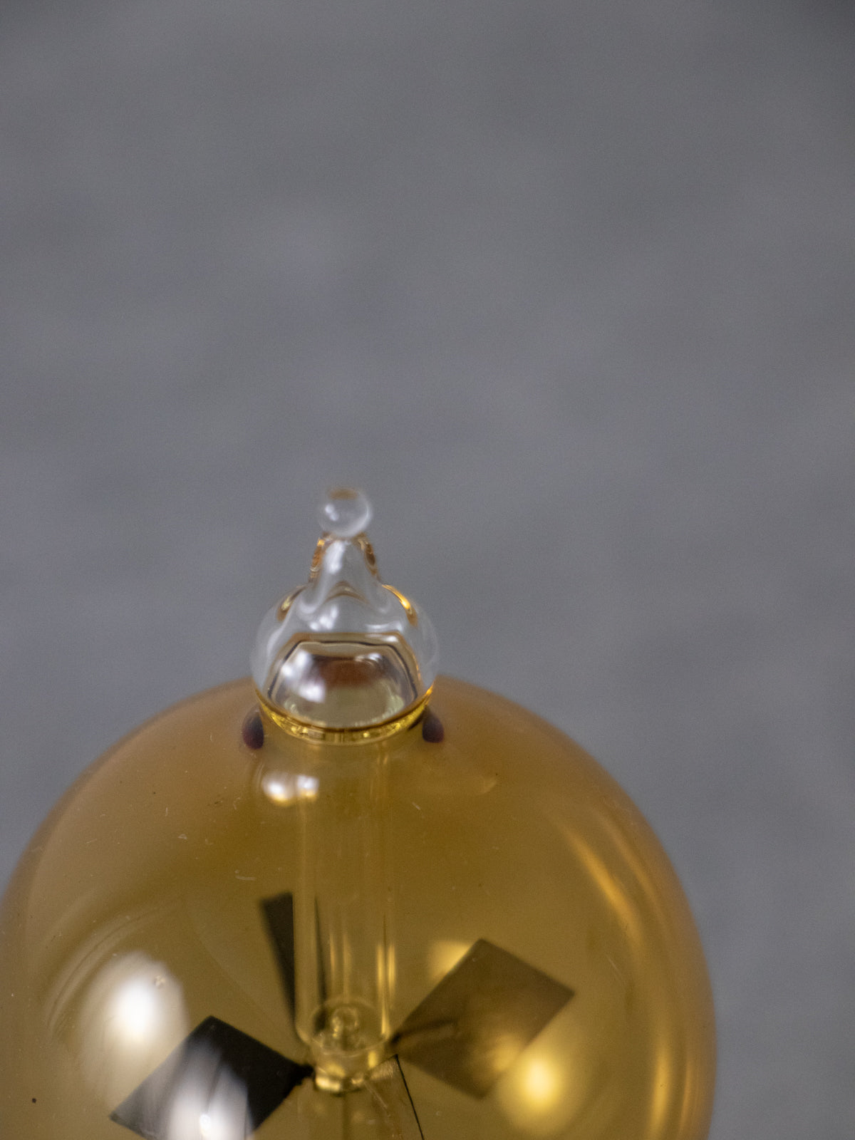 リヒトミューレ スタンダード ショート S AMBER