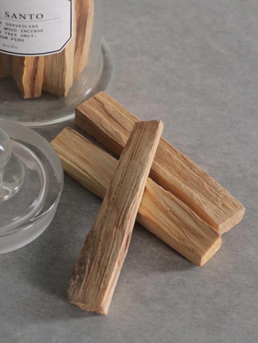Palo Santo in Specimen Bottle 標本瓶