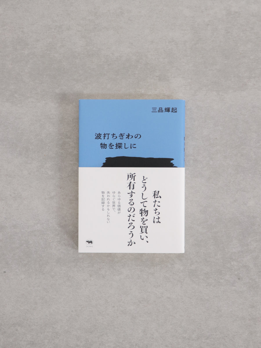 波打ちぎわの物を探しに