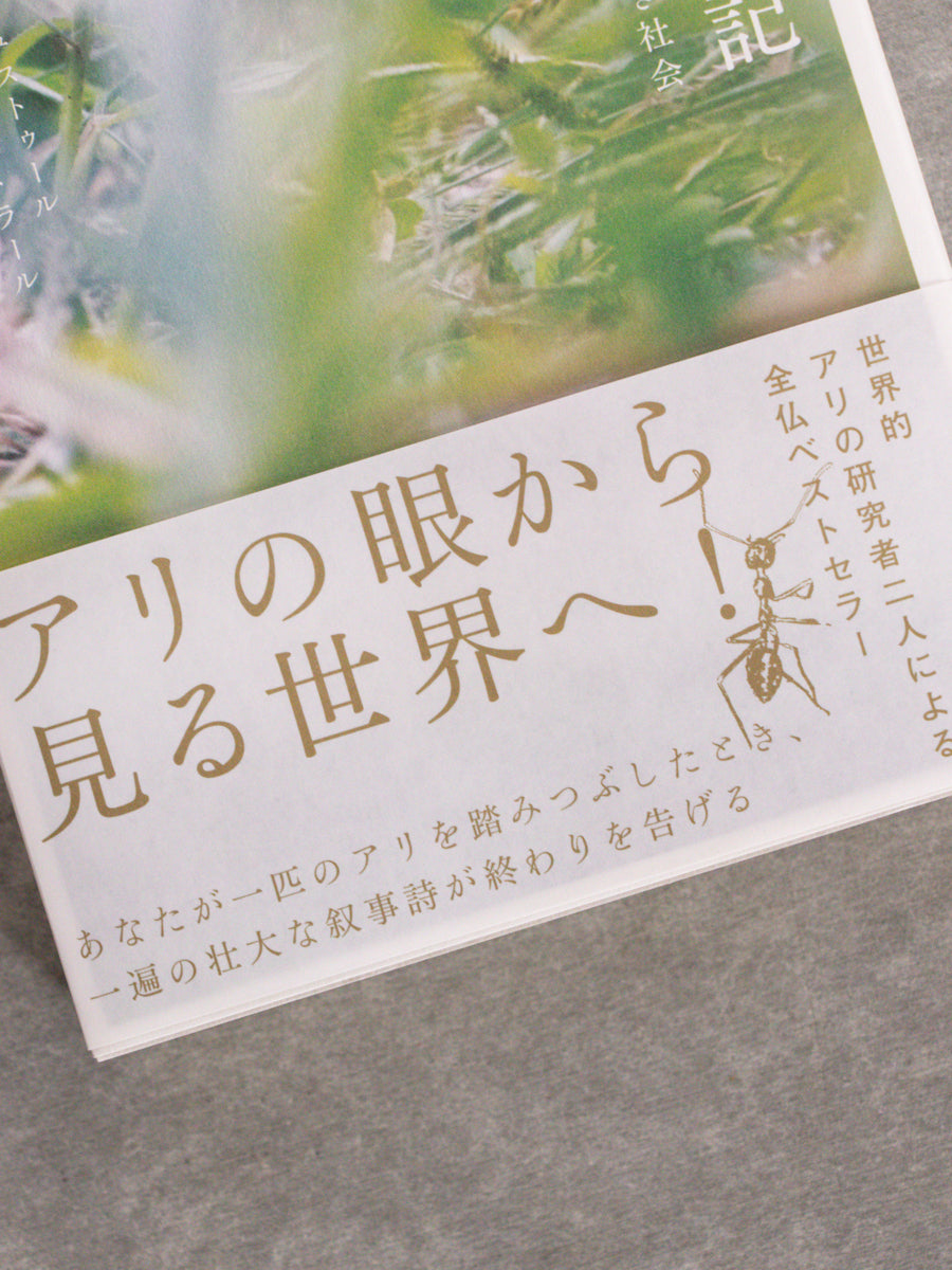 アリの放浪記 多様な個が生み出す驚くべき社会