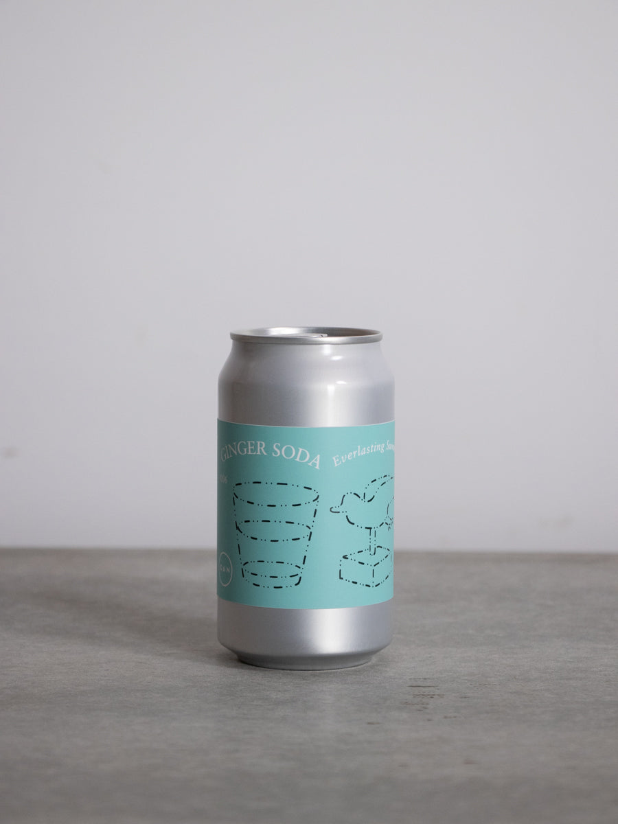 GINGER SODA Everlasting Summer