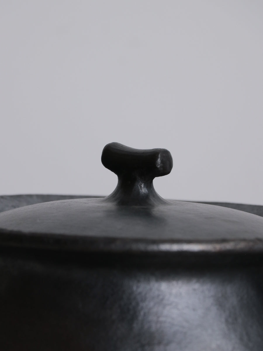 COOKING POT WITH HANDLE