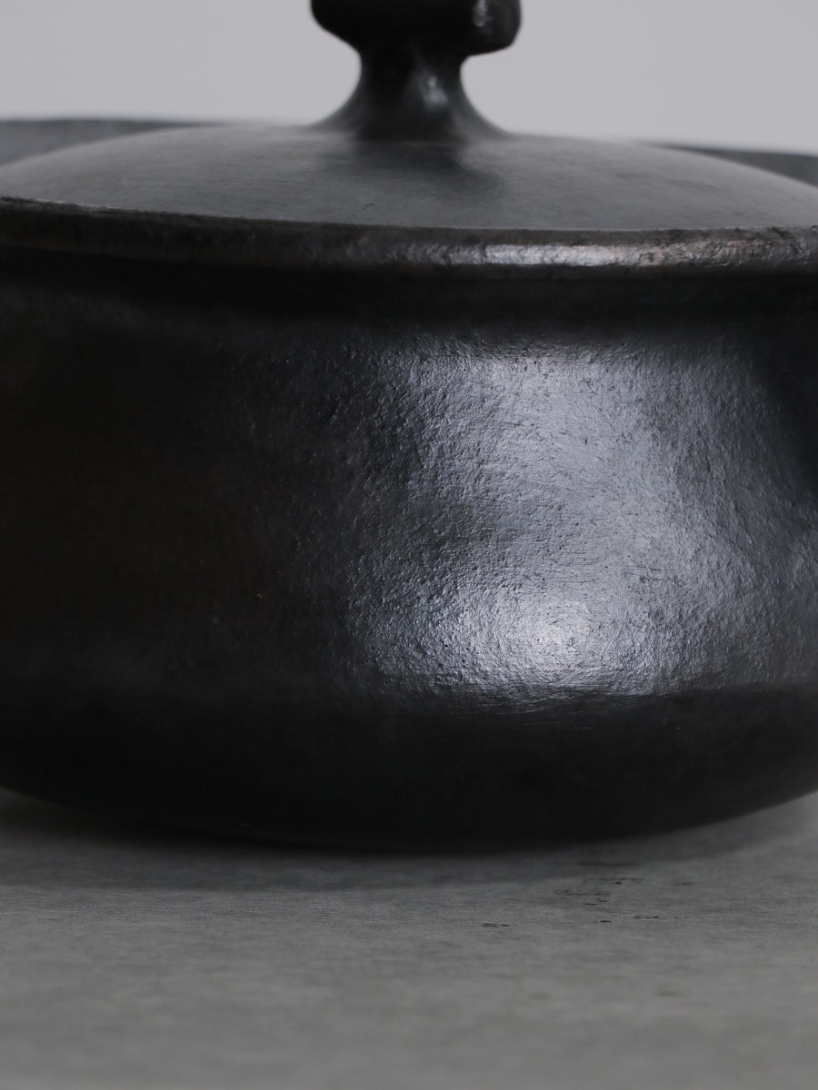 COOKING POT WITH HANDLE