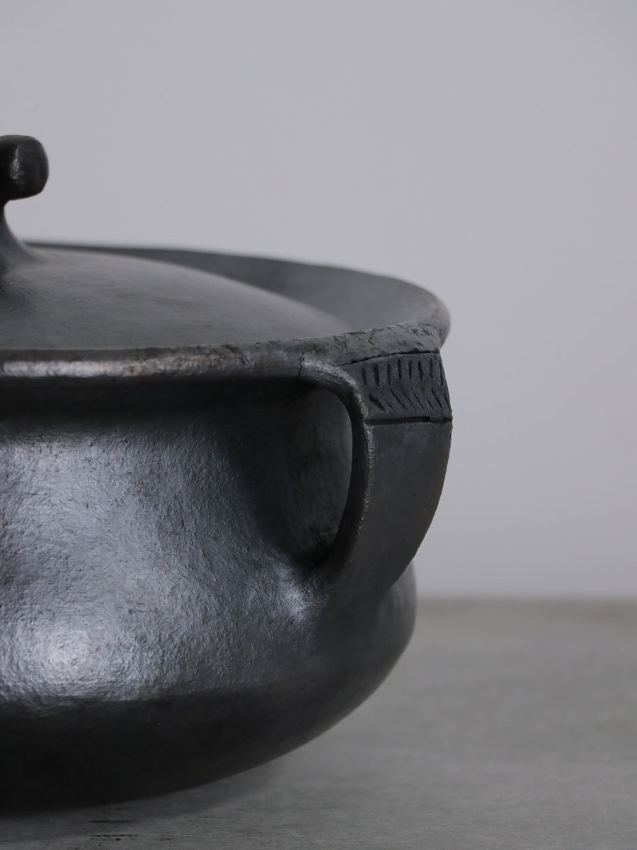 COOKING POT WITH HANDLE