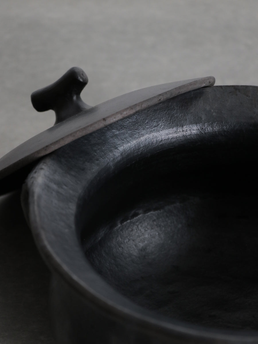 COOKING POT WITH HANDLE