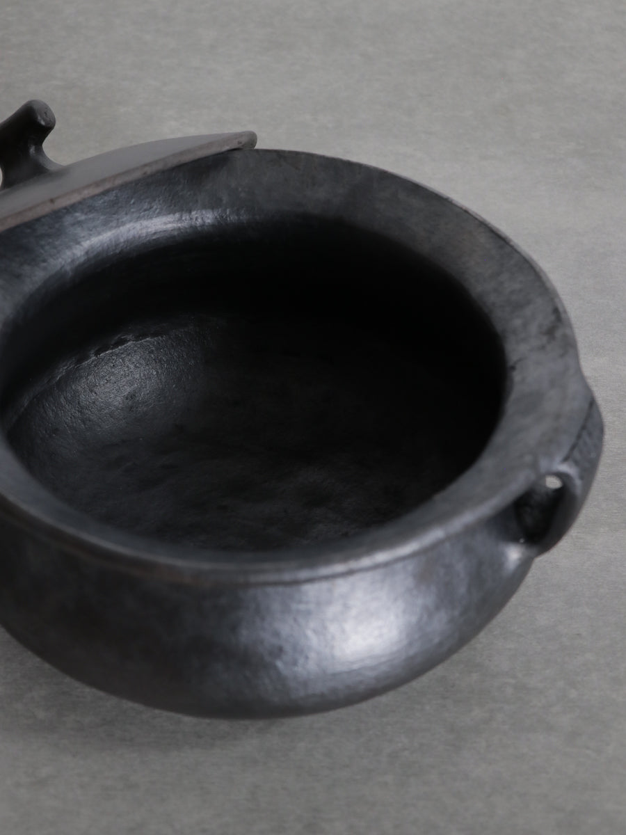 COOKING POT WITH HANDLE