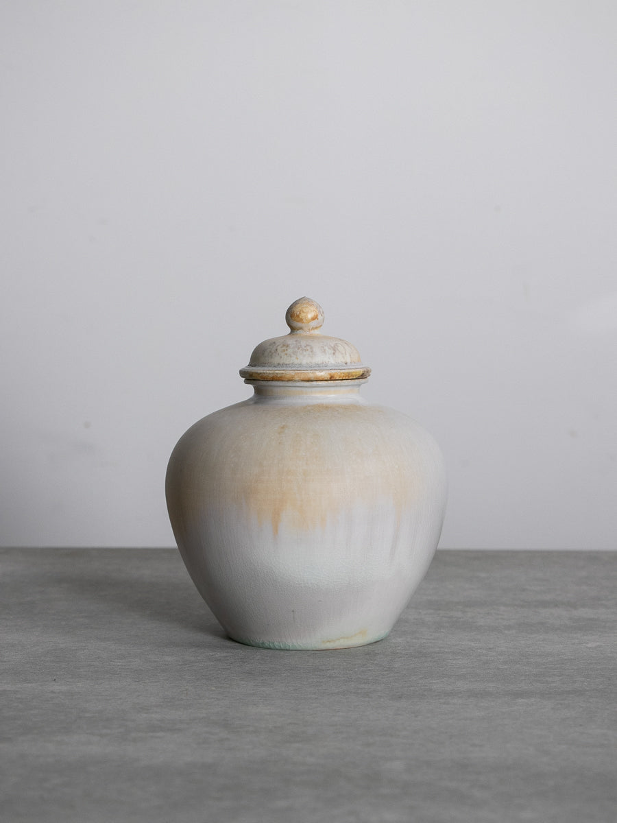 白磁有蓋万年壺_中(A)