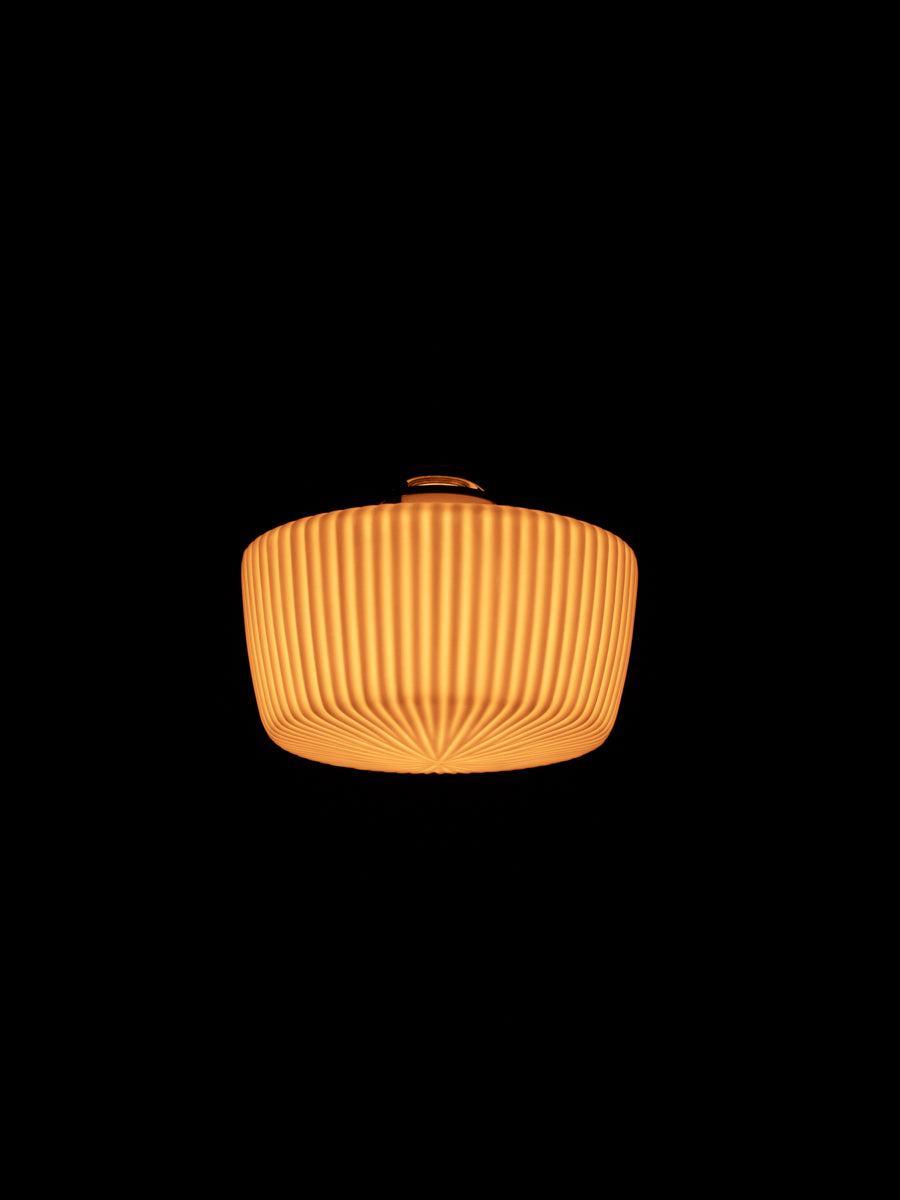 Cylinder L (close) / fin
