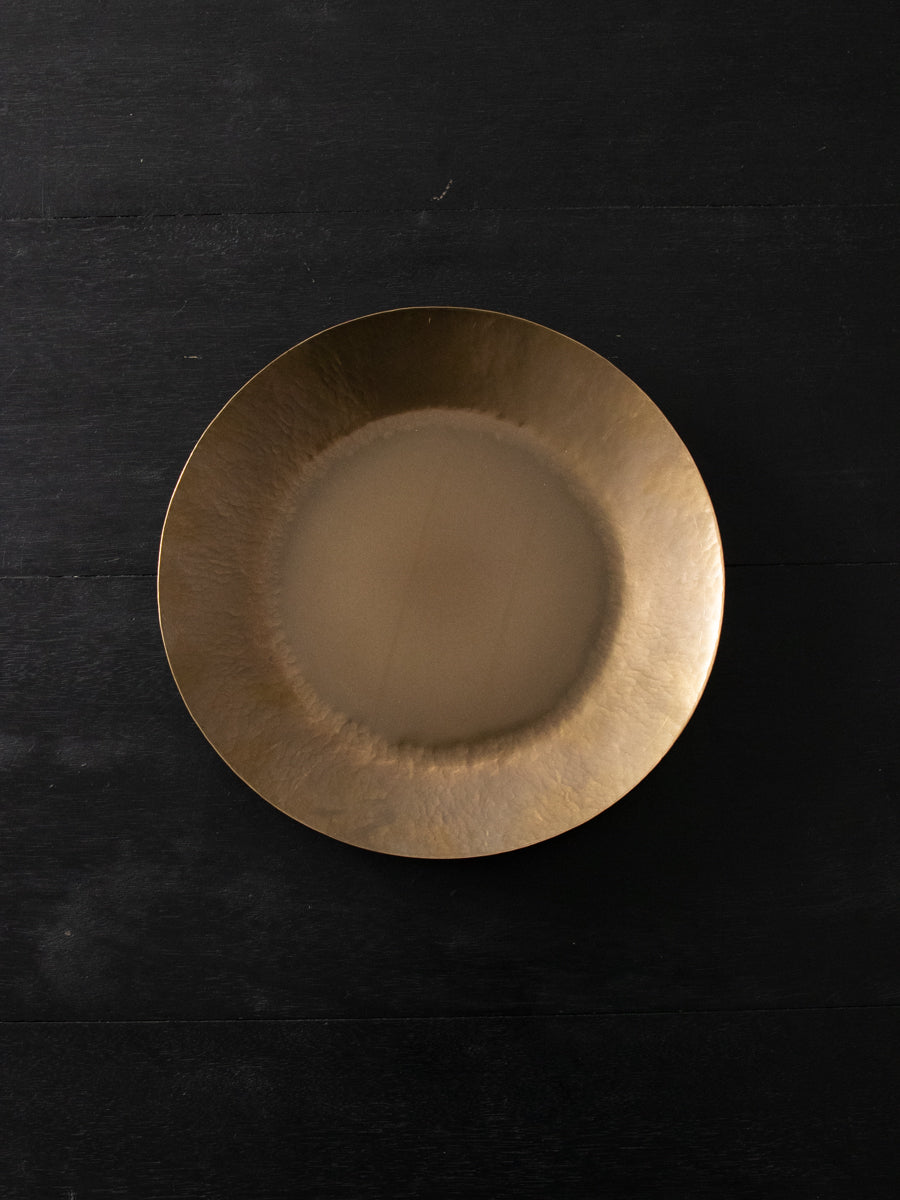 12inch Dish