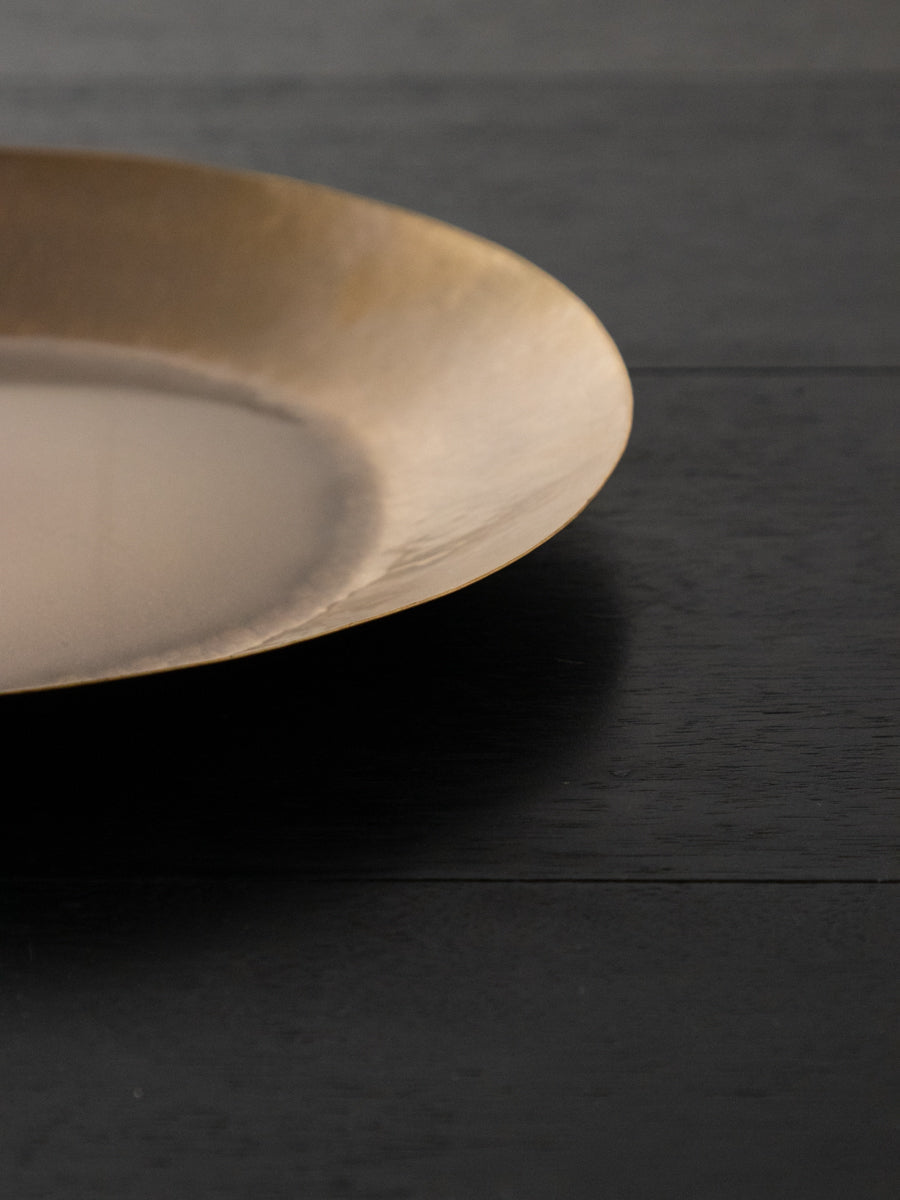 12inch Dish