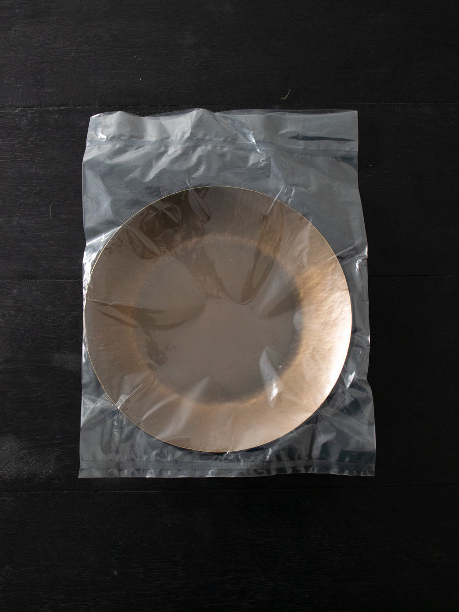12inch Dish