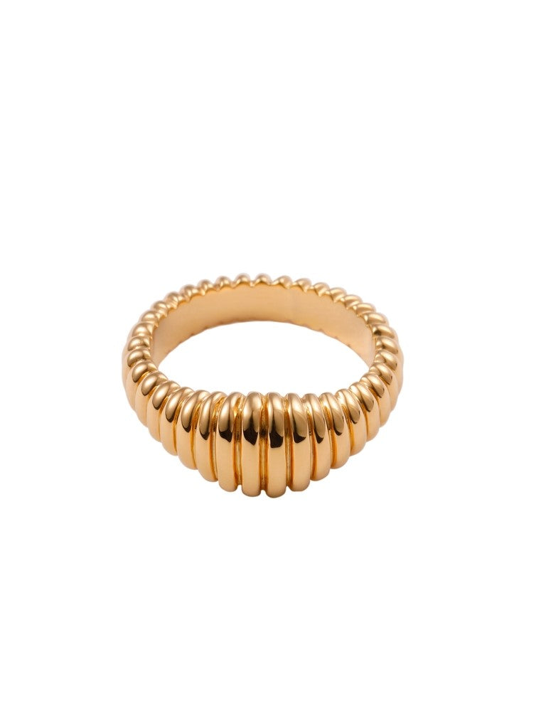 Shell Ring(pinky)/Gold M(3)