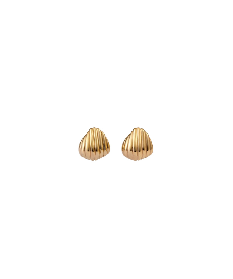 Small Shell Earrings /GOLD