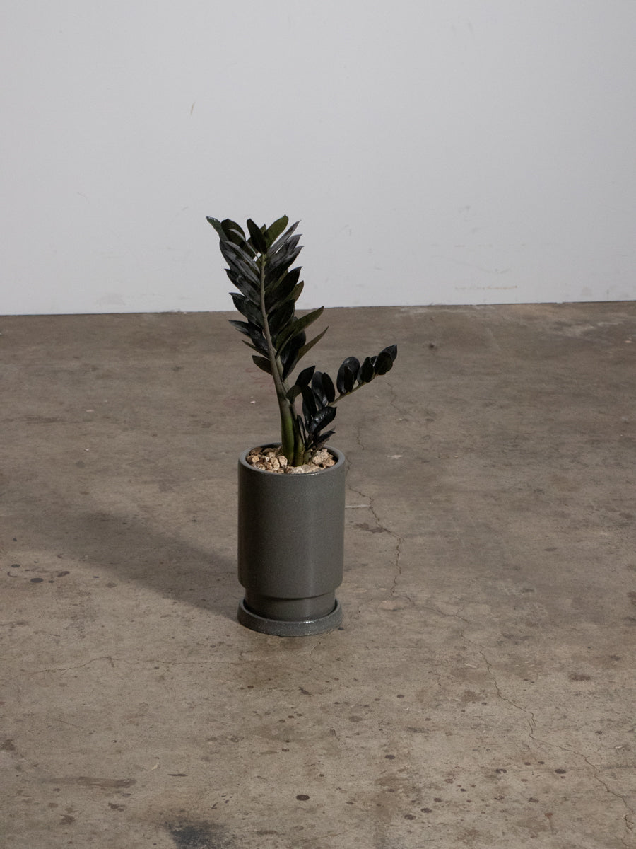 ザミオレイヴン