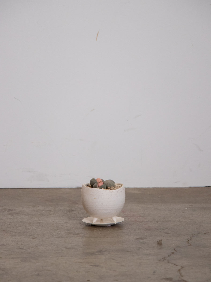 メセン　令和の桃太郎　