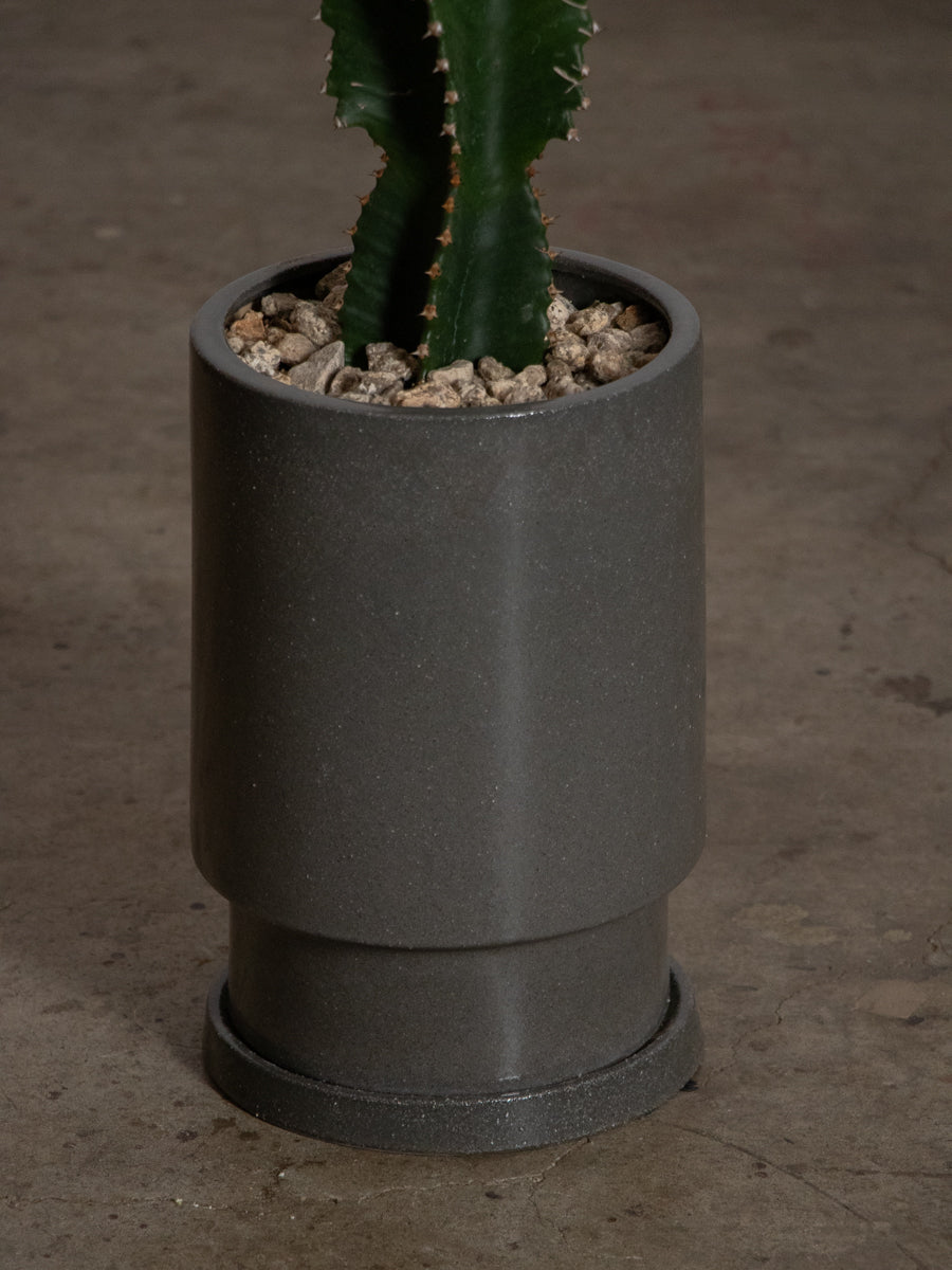 ユーフォルビア　インゲンス 　