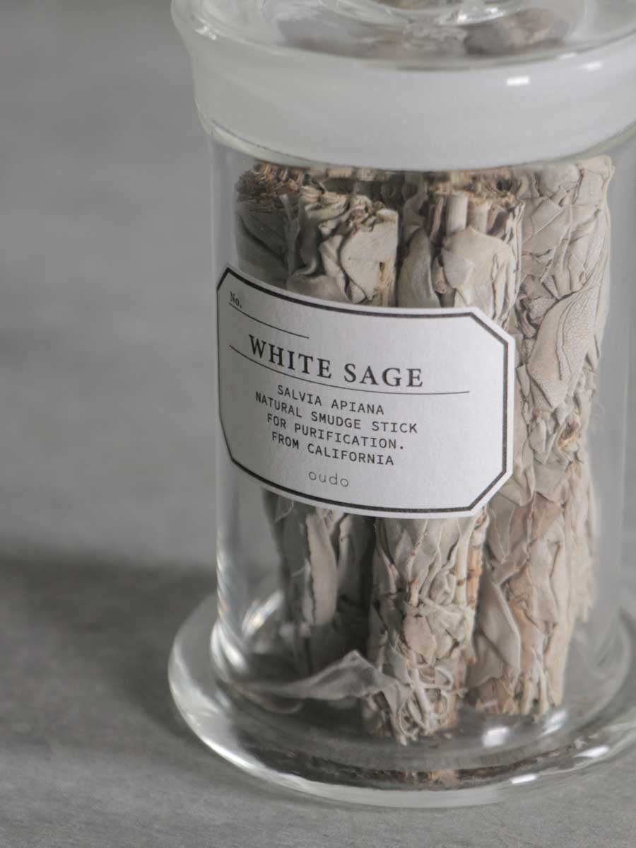 White Sage in Specimen Bottle 標本瓶