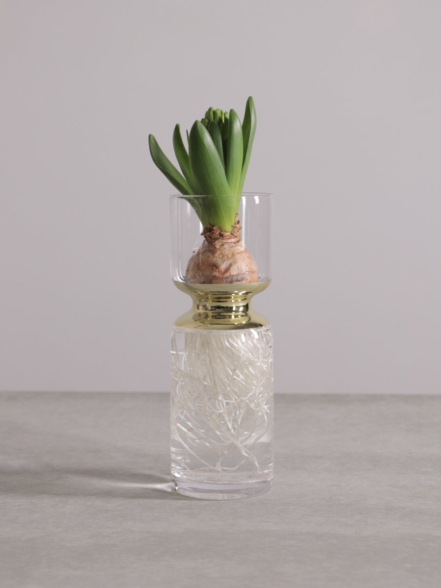 LUNAR VASE M