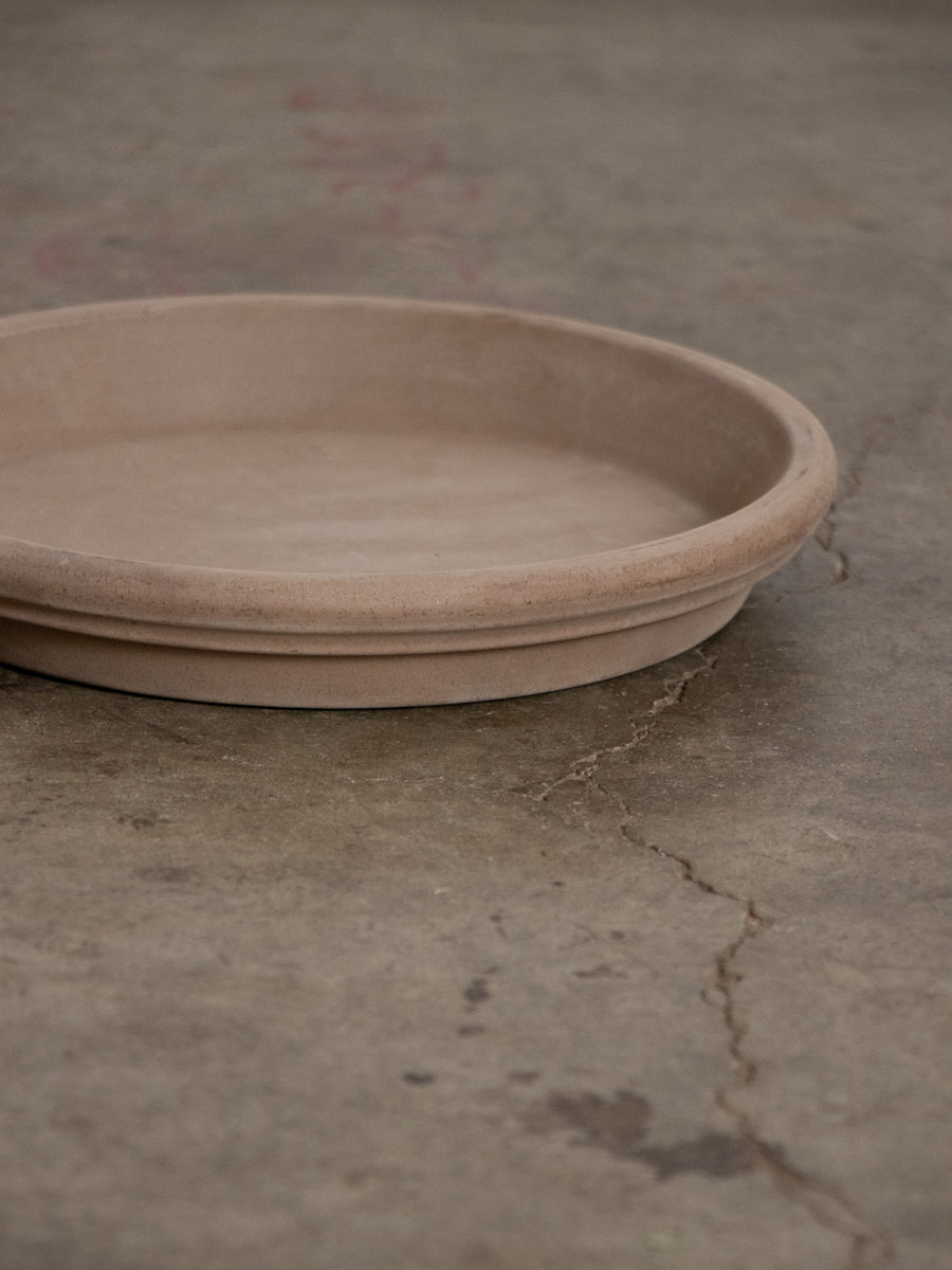 ソーサーモカ　25