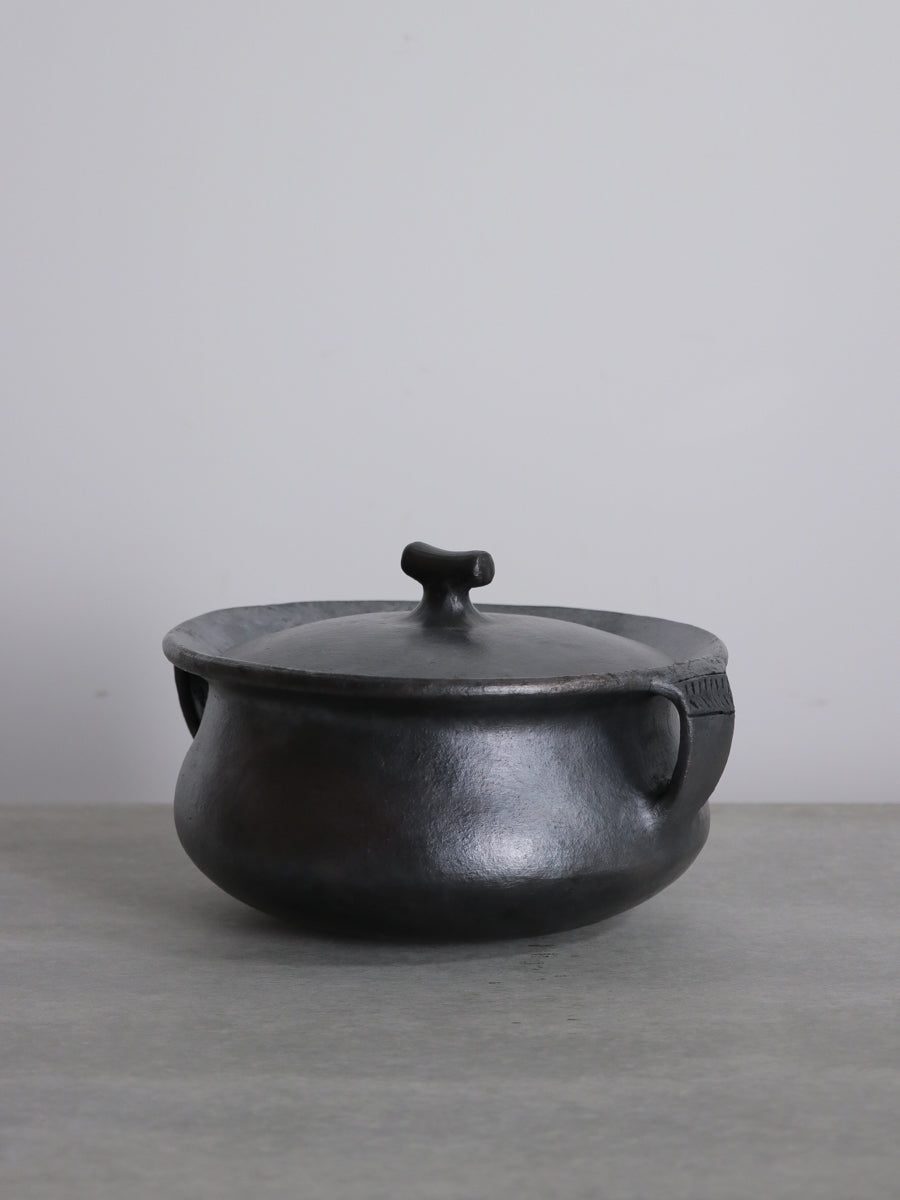 COOKING POT WITH HANDLE
