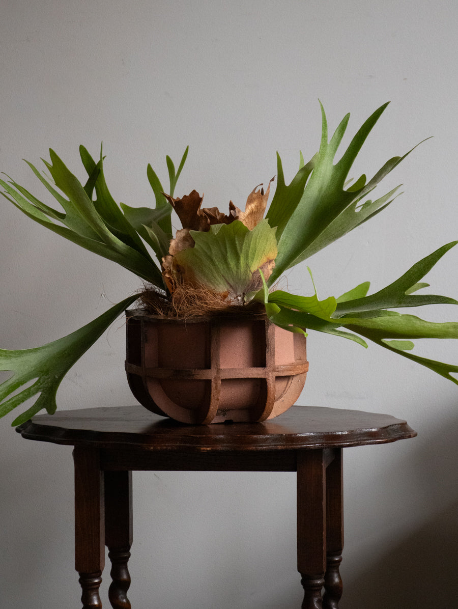 植木鉢