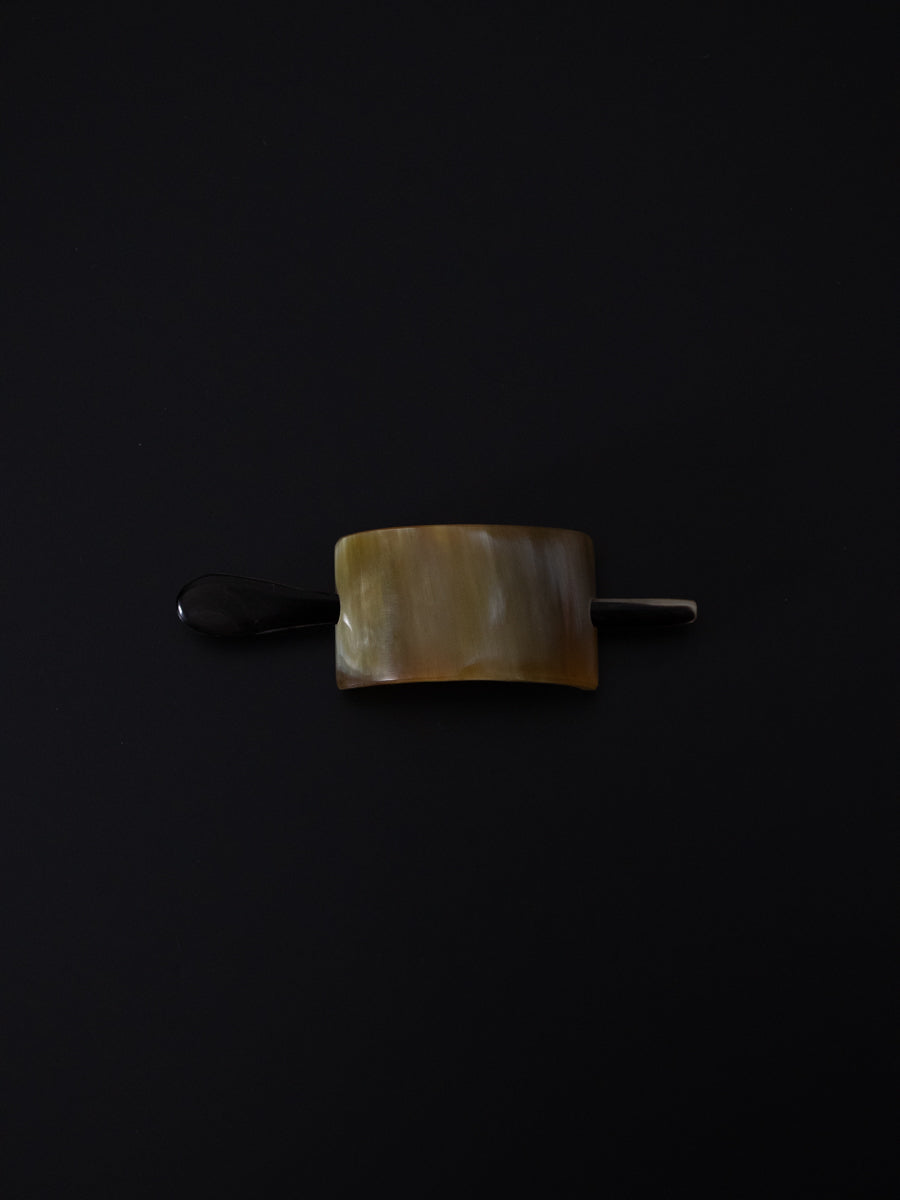 Horn & Hairclip with stick