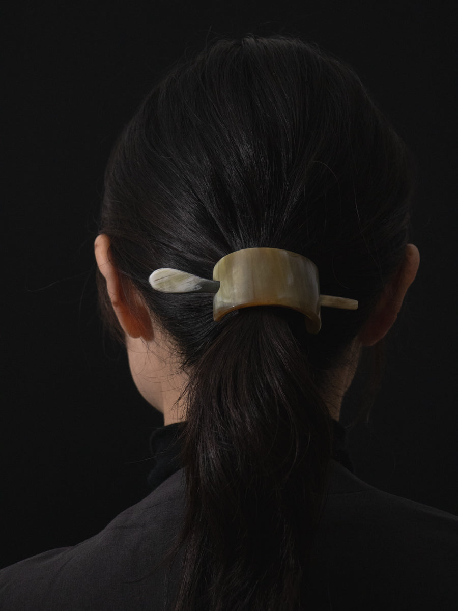 Horn & Hairclip with stick