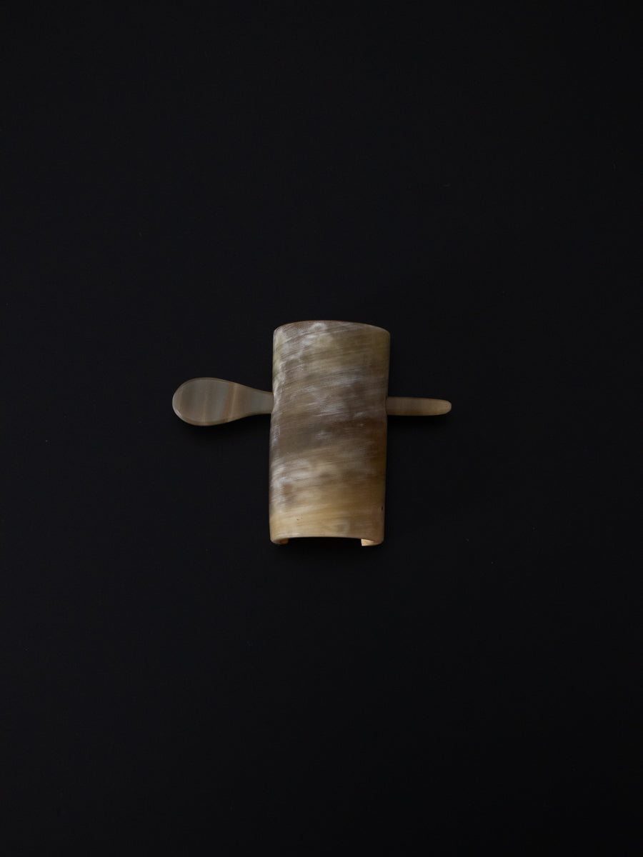 Horn & Hairclip with stick