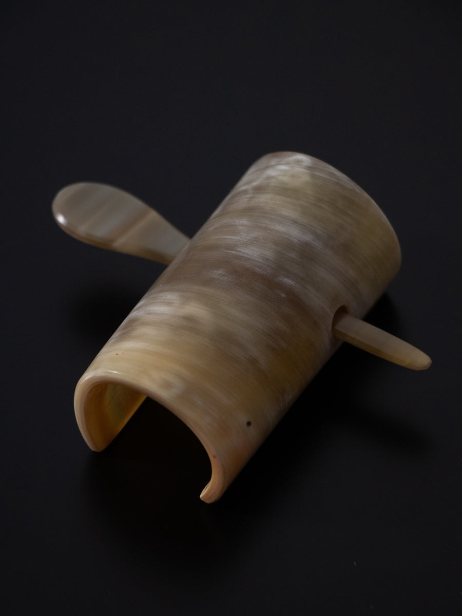 Horn & Hairclip with stick