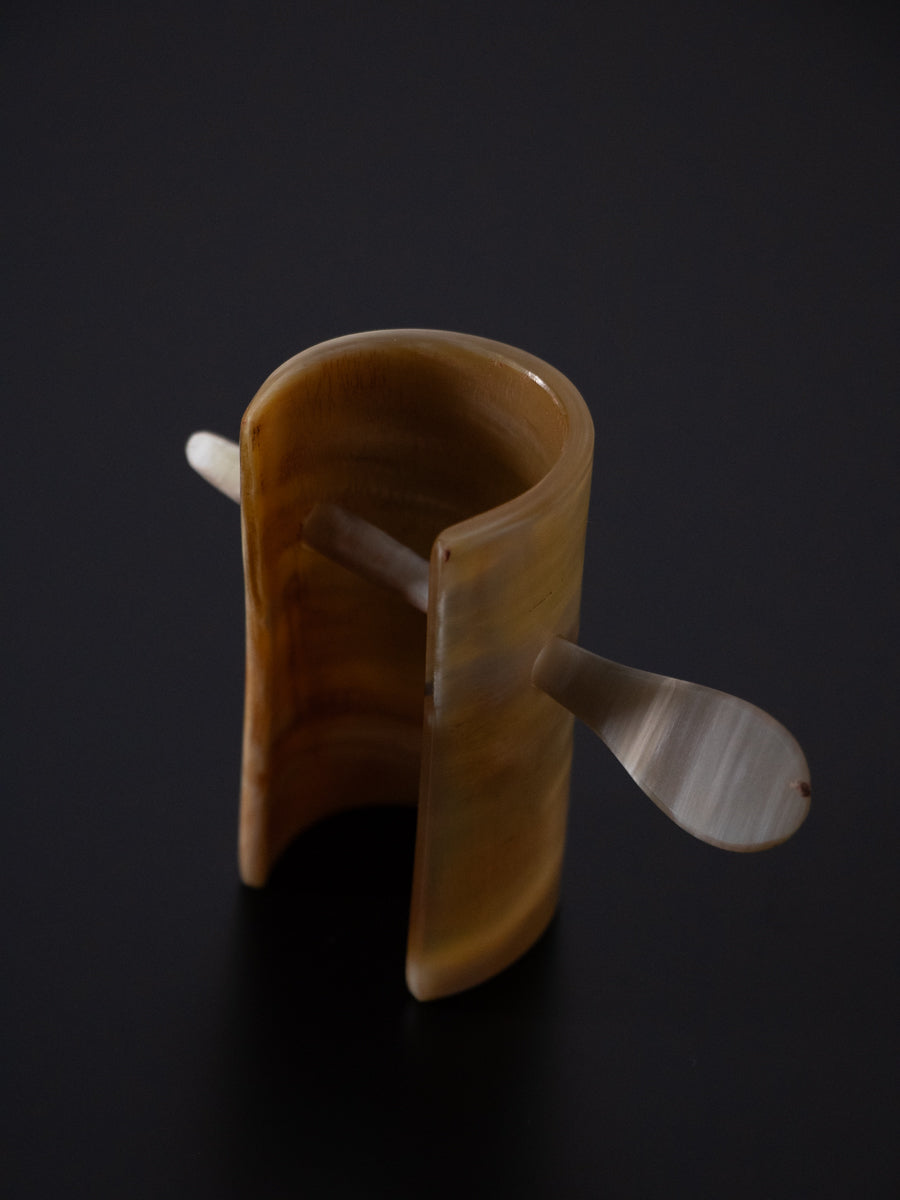 Horn & Hairclip with stick