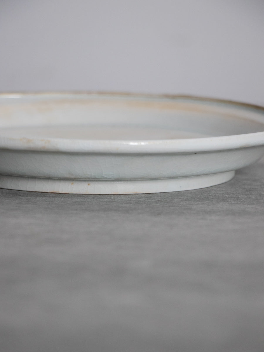 白磁段縁皿（ツヤ）