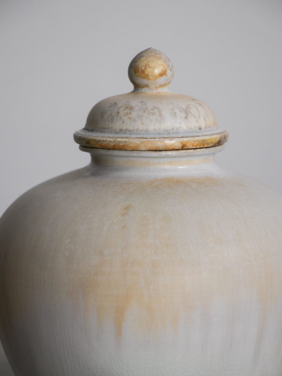 白磁有蓋万年壺_中（A)
