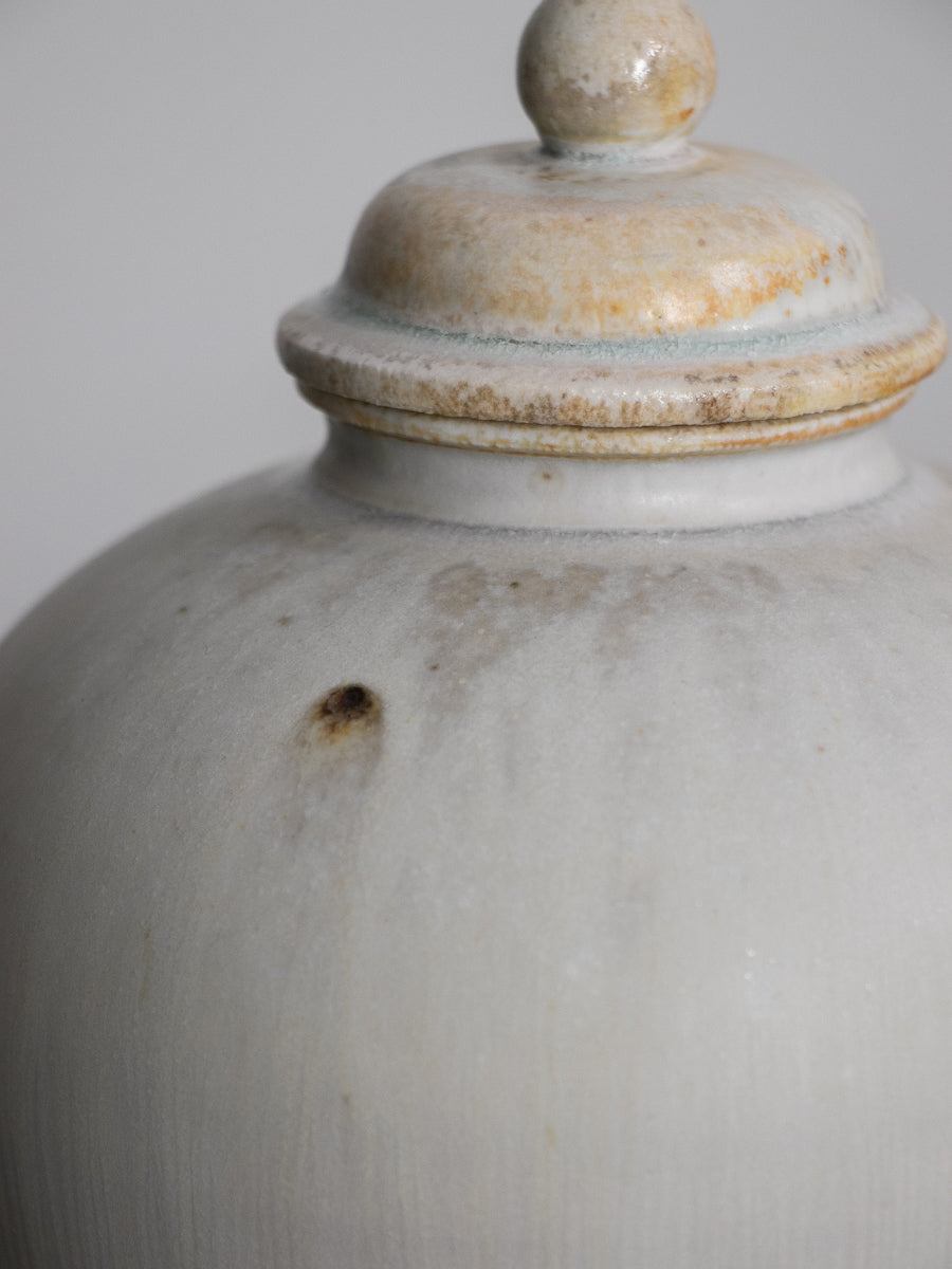 白磁有蓋万年壺_中（A)