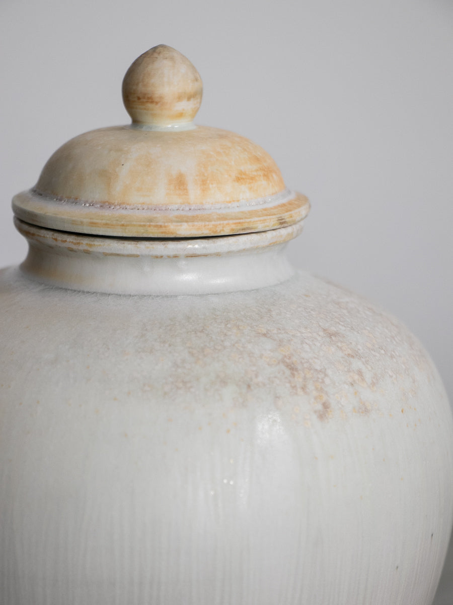 白磁有蓋万年壺_中（A)