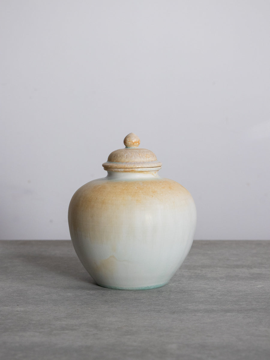 白磁有蓋万年壺_中（B）