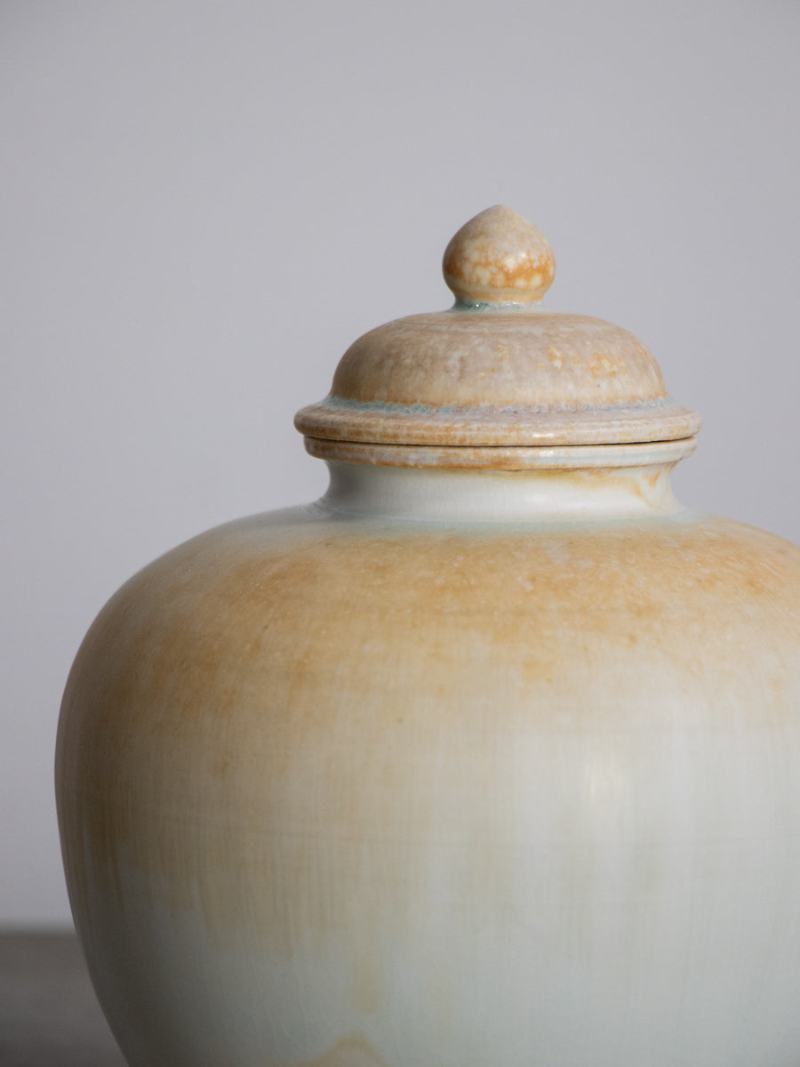 白磁有蓋万年壺_中（B）