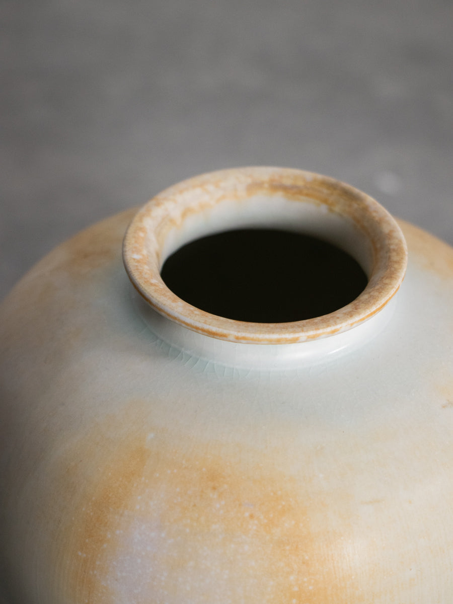 白磁有蓋万年壺_中（B）