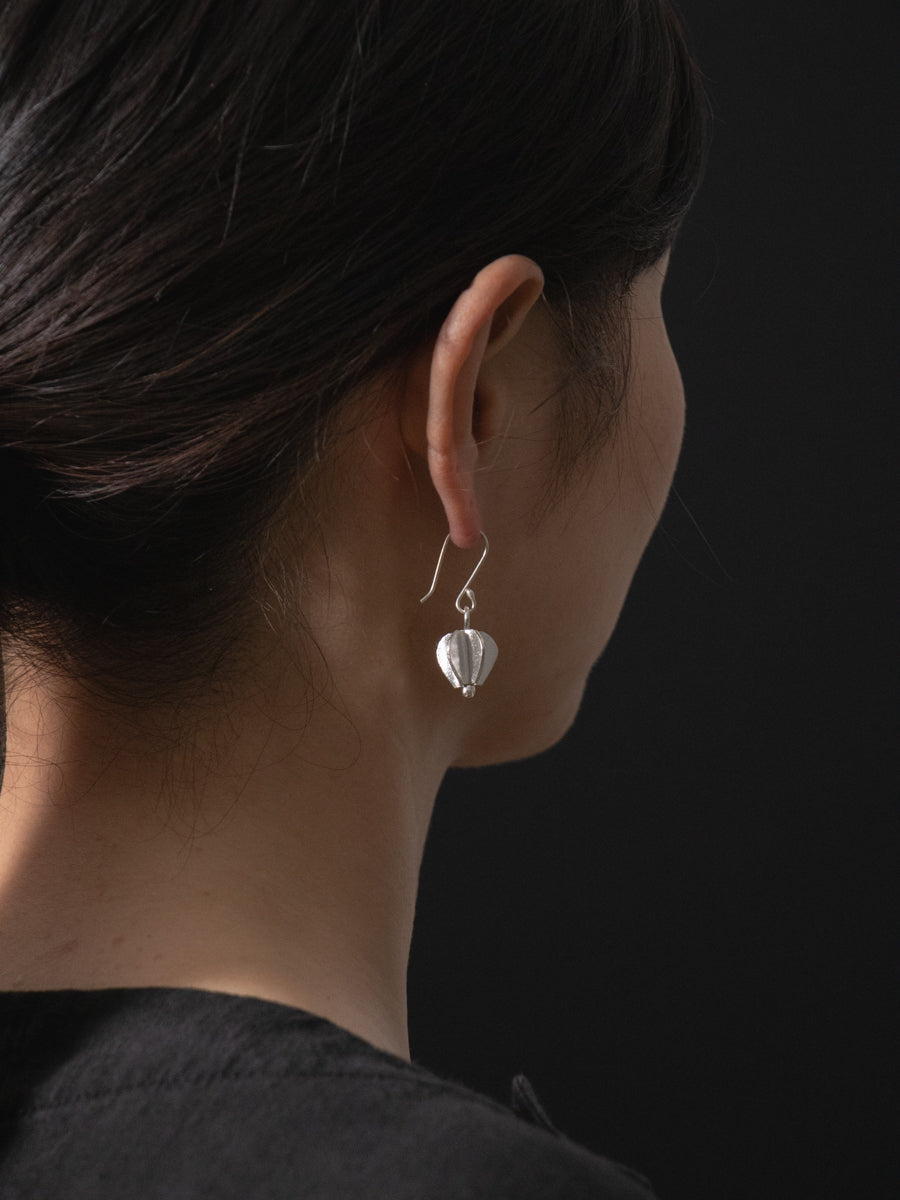 カレンシルバーイヤリング (J01)