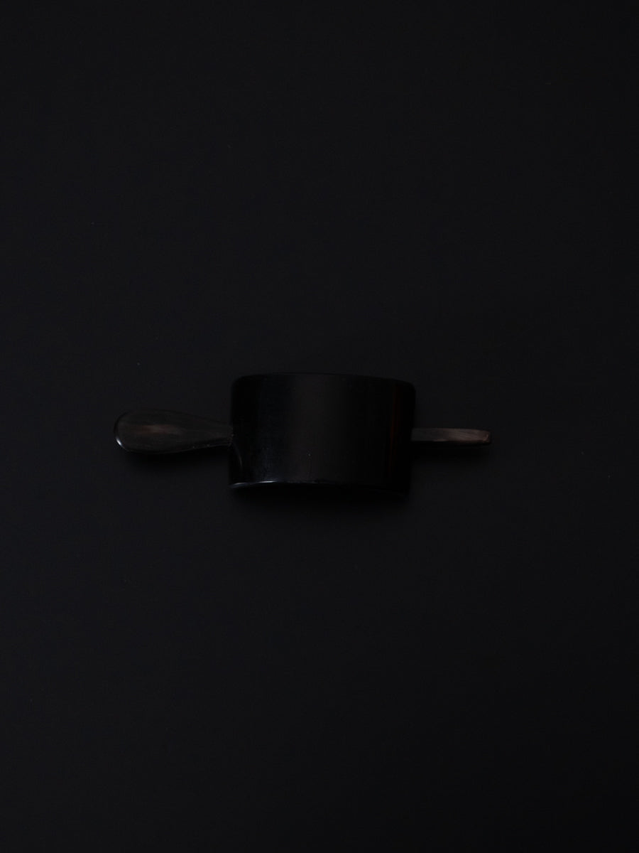 Horn & Hairclip with stick