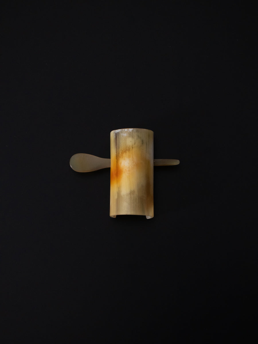 Horn & Hairclip with stick