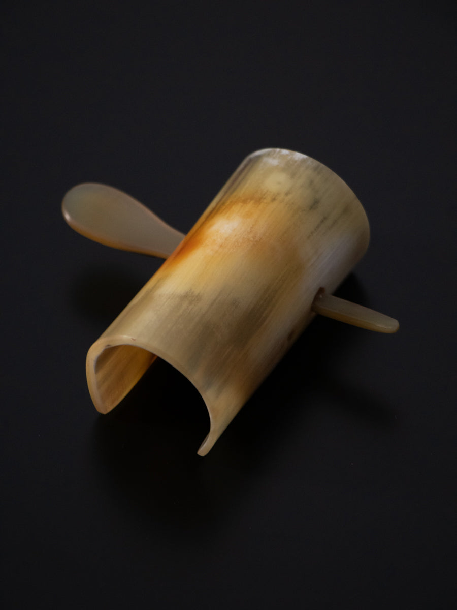 Horn & Hairclip with stick