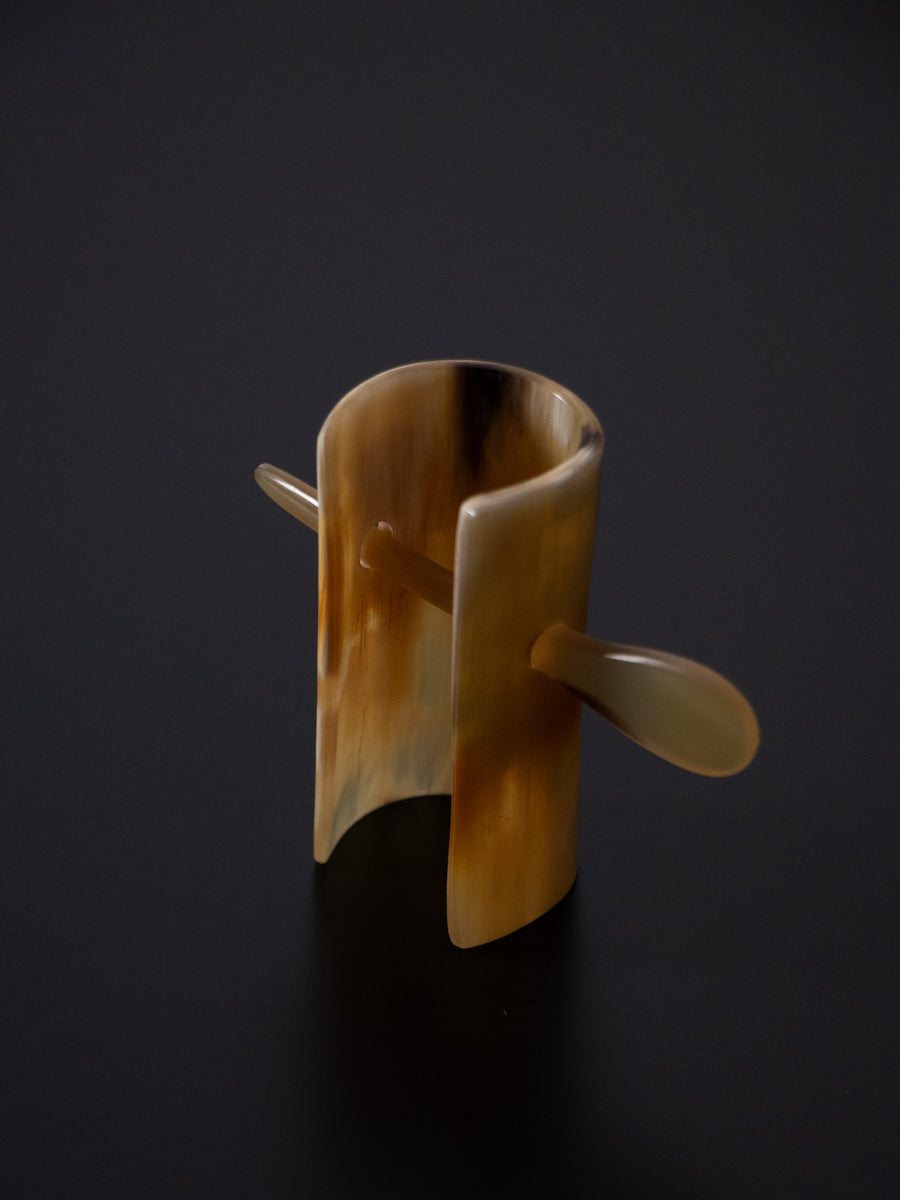 Horn & Hairclip with stick