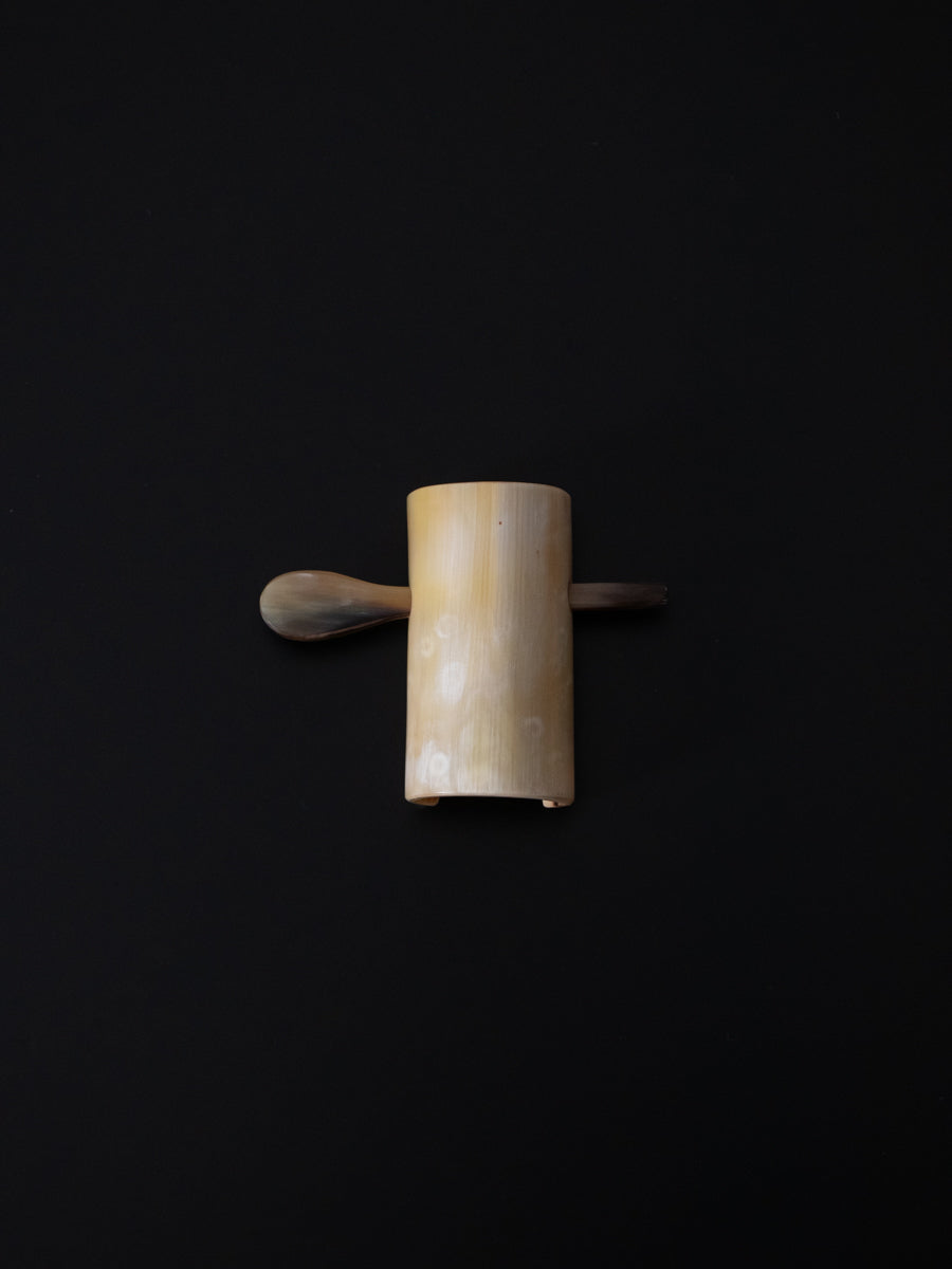 Horn & Hairclip with stick