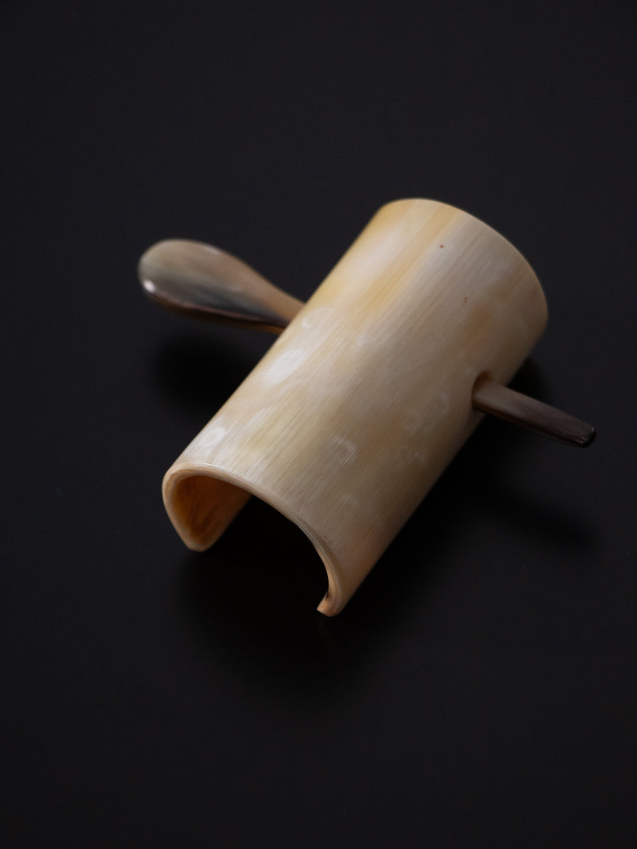 Horn & Hairclip with stick